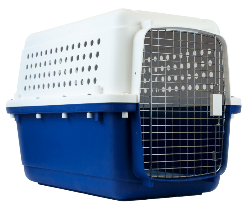 BB55 - perfect for medium sized dogs