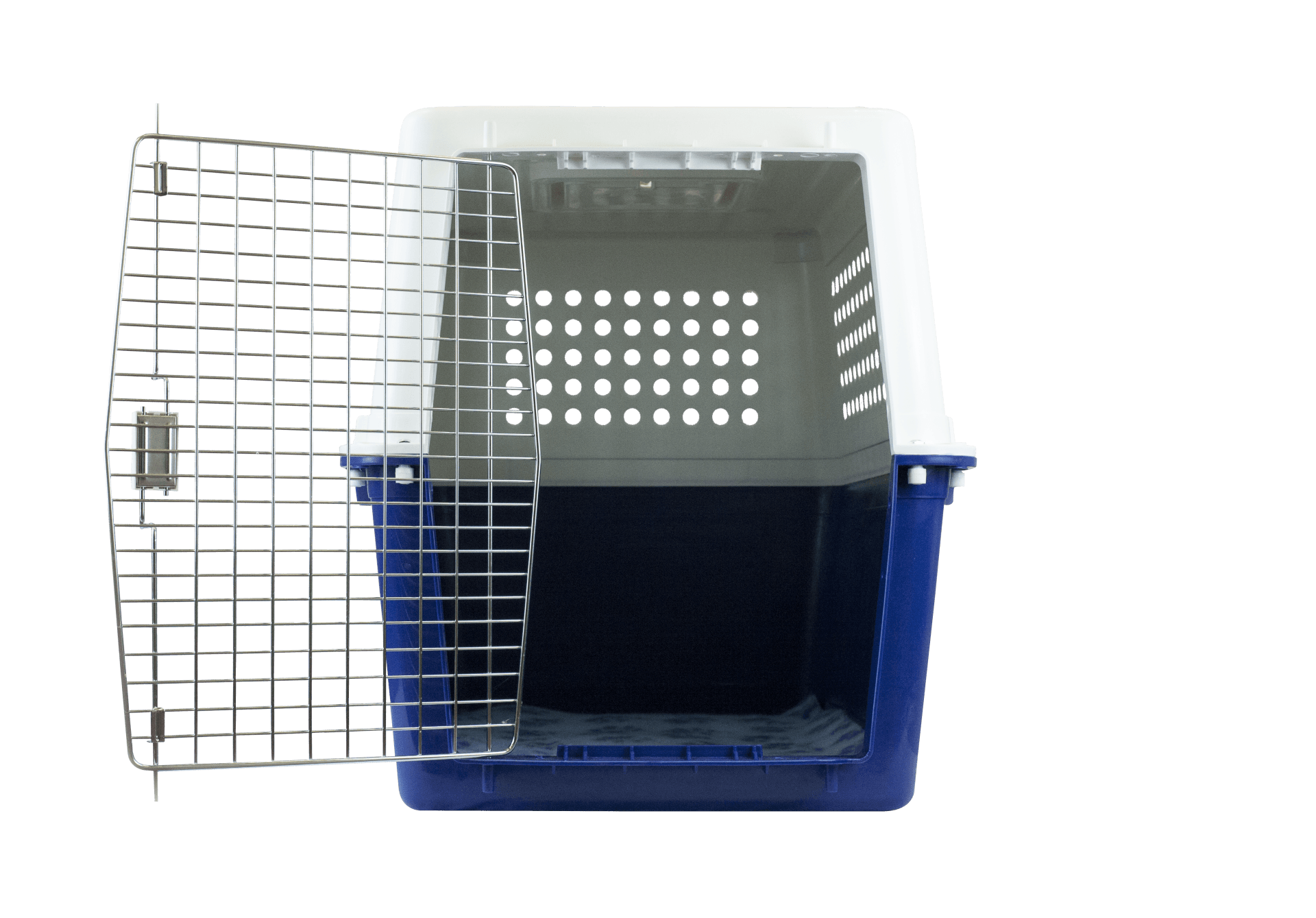 PP60 perfect for the taller longer medium sized dogs