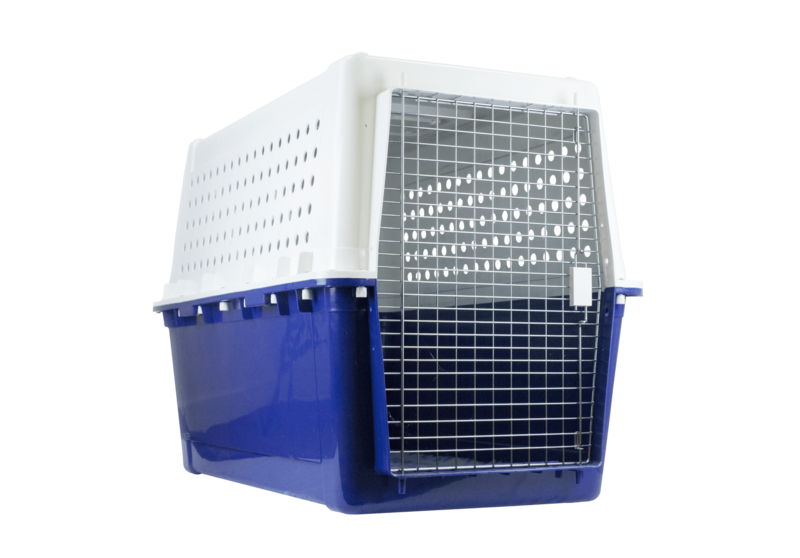 PP70 - great for the slightly larger breeds of dog