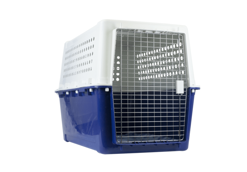 PP60 - perfect for the taller/longer medium sized dogs