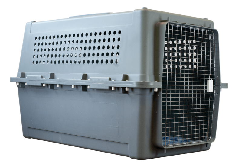PP90 - suitable for the larger breeds of dog