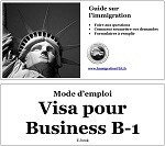 Visa Business B-1
