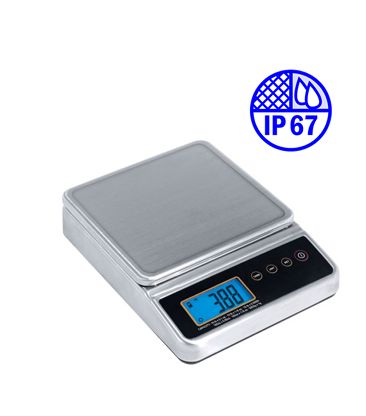 FP-342-SLEST stainless steel portion scale