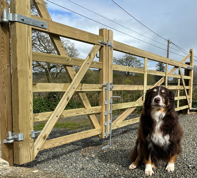 "Midsummer" Curved Raised Helve, Five-Bar Gate "Midsummer" Curved Raised Helve, Five-Bar Gate