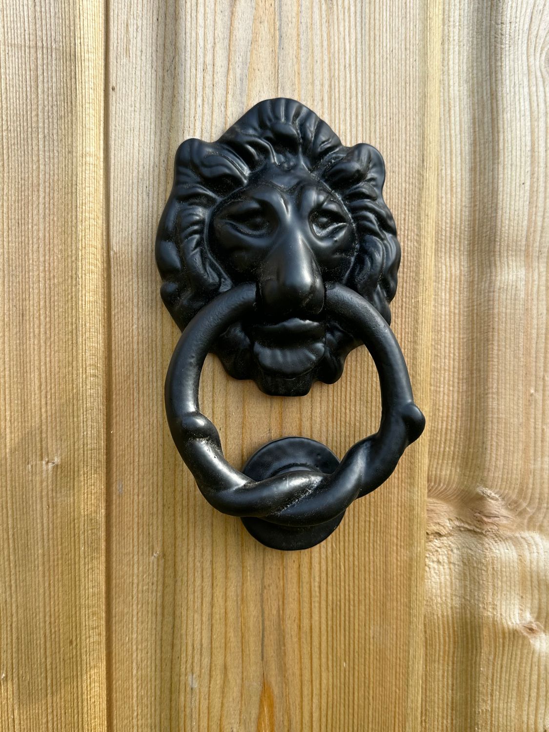 Lion Head Door Knocker