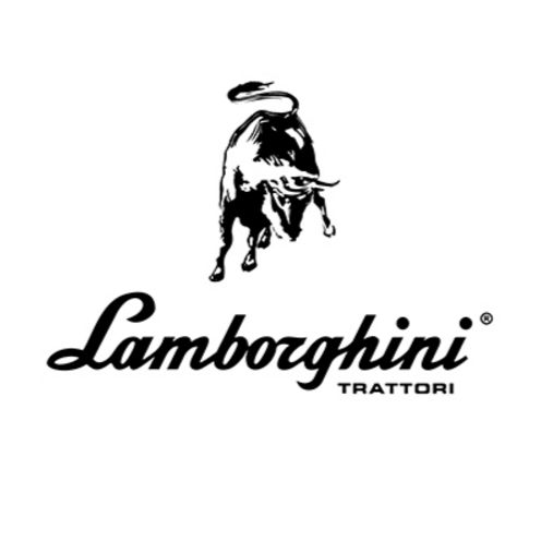 KIT SERVOSTERZO LAMBORGHINI 345 N POMPA DOPPIA PRODUZIONE ITALIANA KIT SERVOSTERZO LAMBORGHINI 345 N POMPA DOPPIA PRODUZIONE ITALIANA