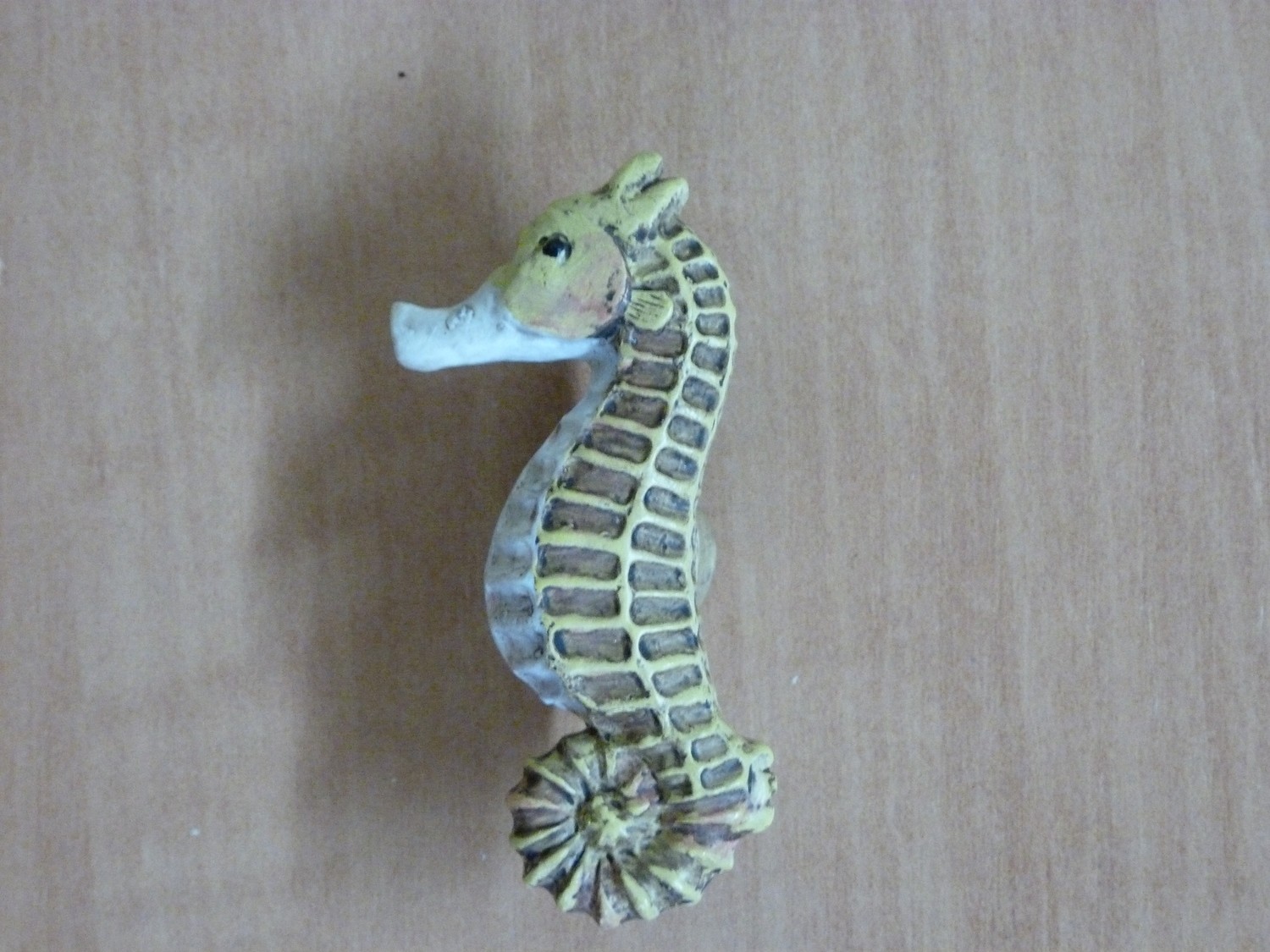 Bouton Hippocampe /  Cliquez ici
