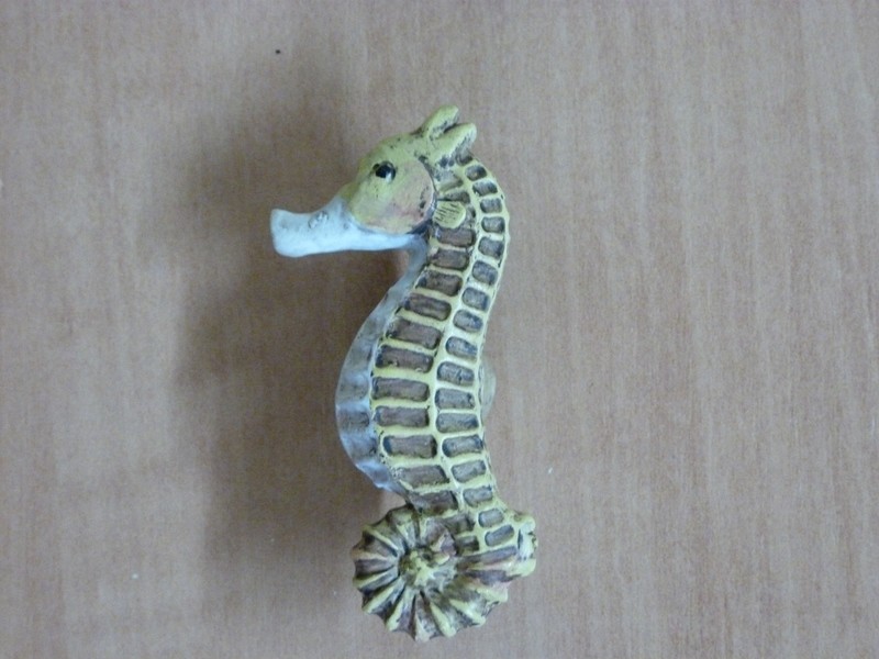 Bouton Hippocampe /  Cliquez ici