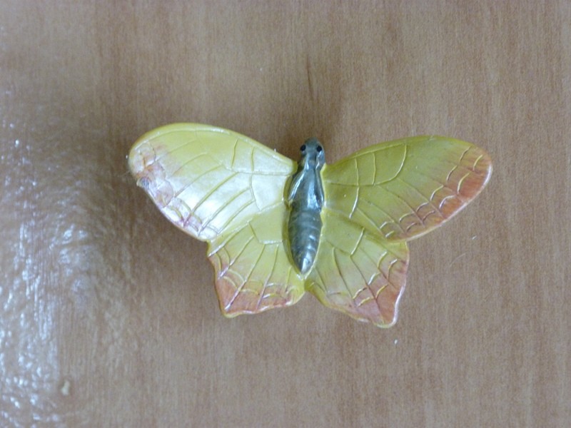 Bouton Papillon Jaune /  Cliquez ici