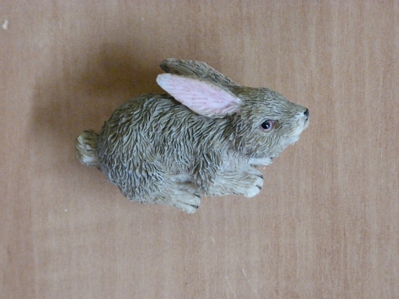 Bouton Lapin /  Cliquez ici