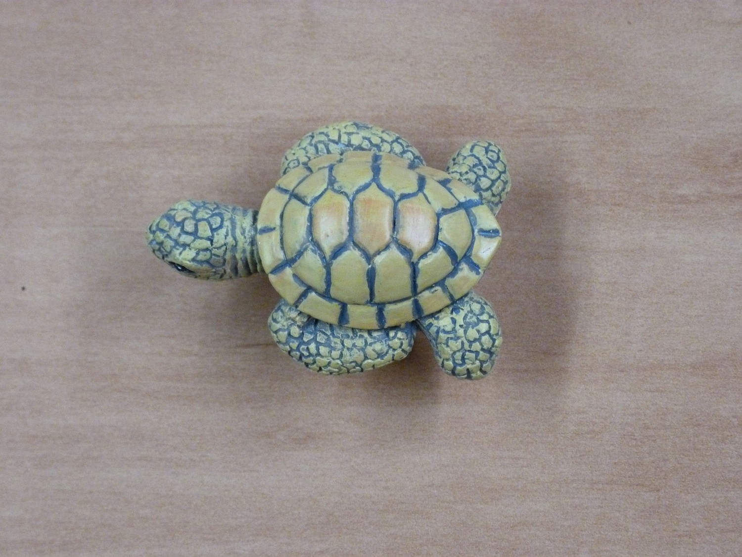 Bouton Tortue /  Cliquez ici