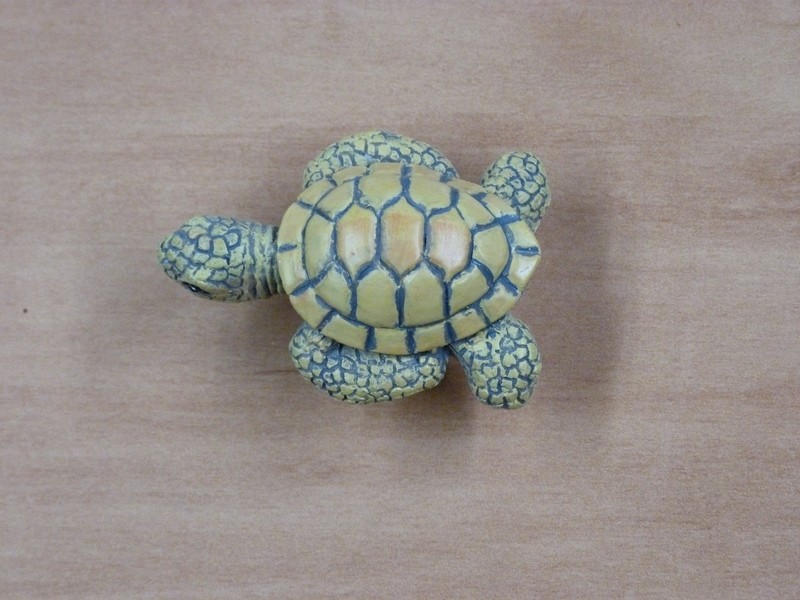 Bouton Tortue /  Cliquez ici