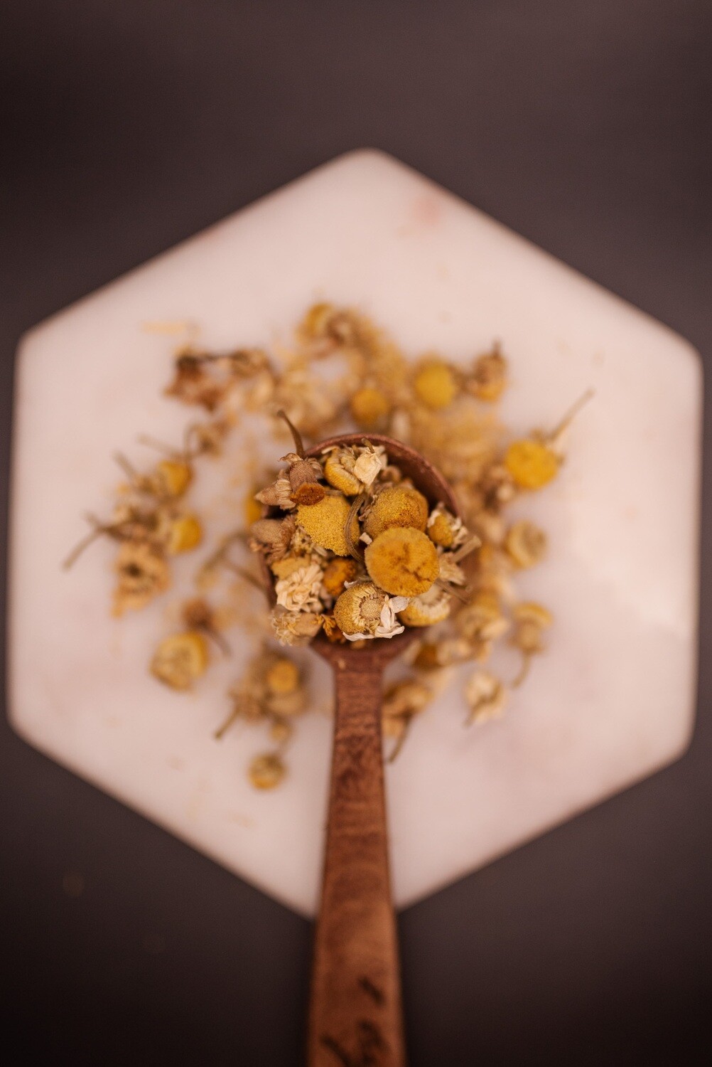 Egyptian Chamomile Flowers
