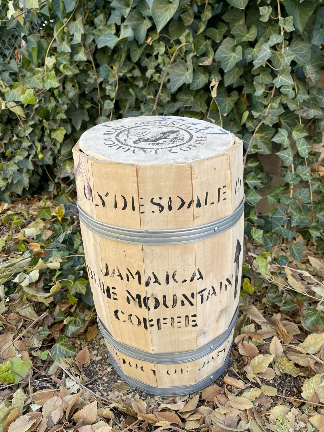 Jamaica Blue Mountain