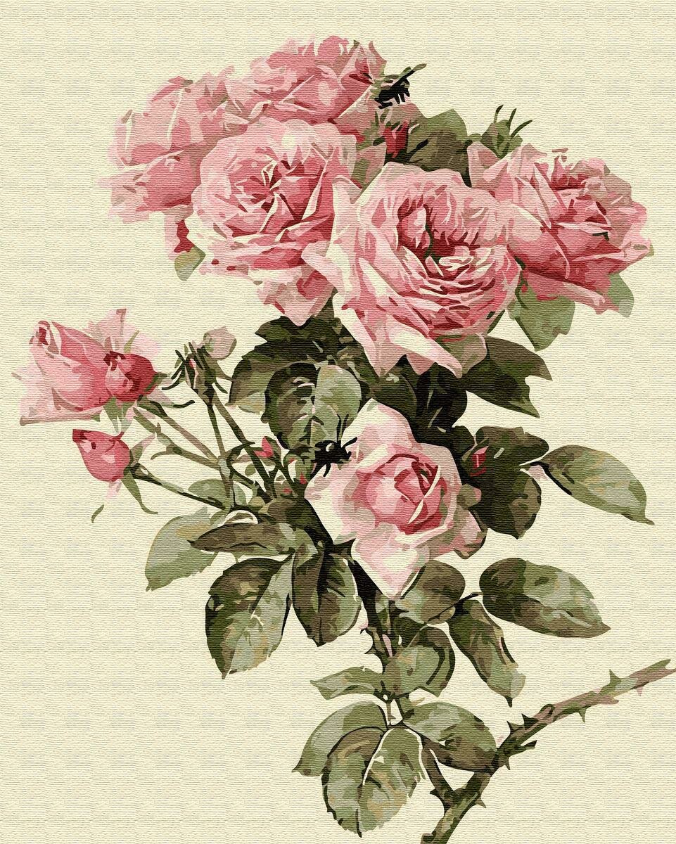 Картины по номерам 40х50см "Веточка розы" ВанГогВоМне, ZX 22360