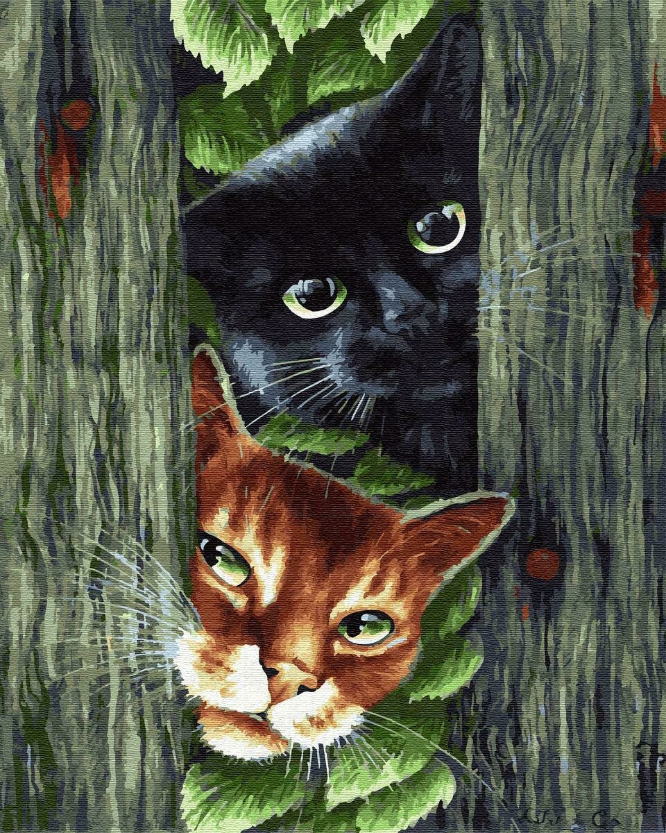 Картины по номерам 40х50см "Любопытные коты" ВанГогВоМне, ZX 22681