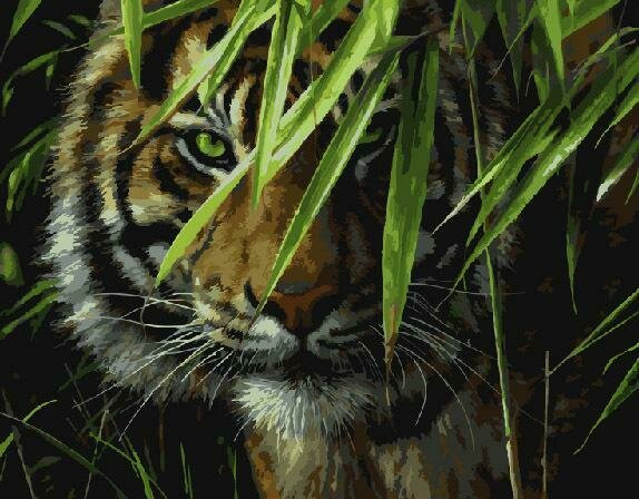 Картины по номерам 40х50см "Тигр на охоте" ВанГогВоМне, ZX 20340