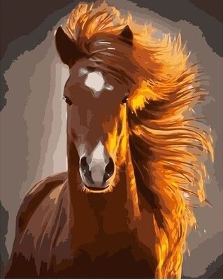 Картина по номерам Colibri "Рыжая лошадь" 40х50см