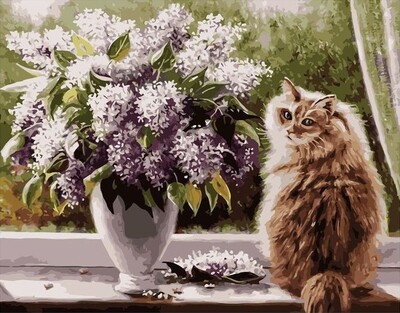 Картина по номерам Colibri "Сирень и кошка" 40х50см