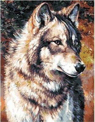 Картина по номерам GX 40307 Гордый волк 40*50