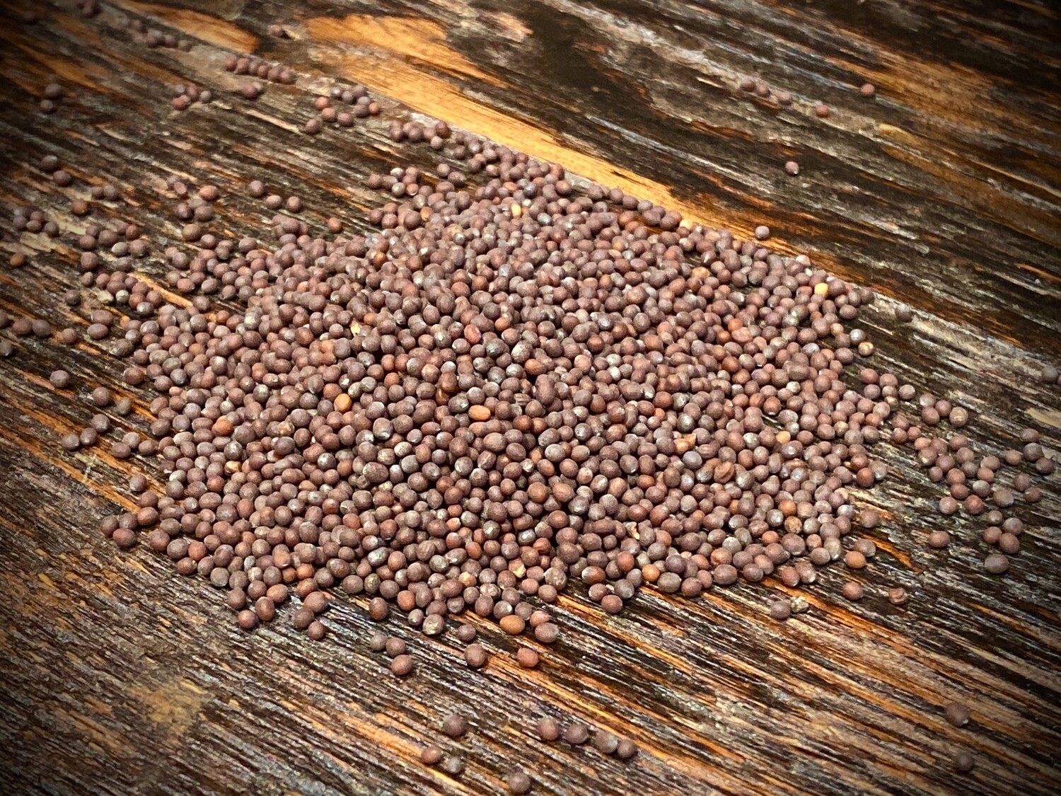 Mustard Seed Brown