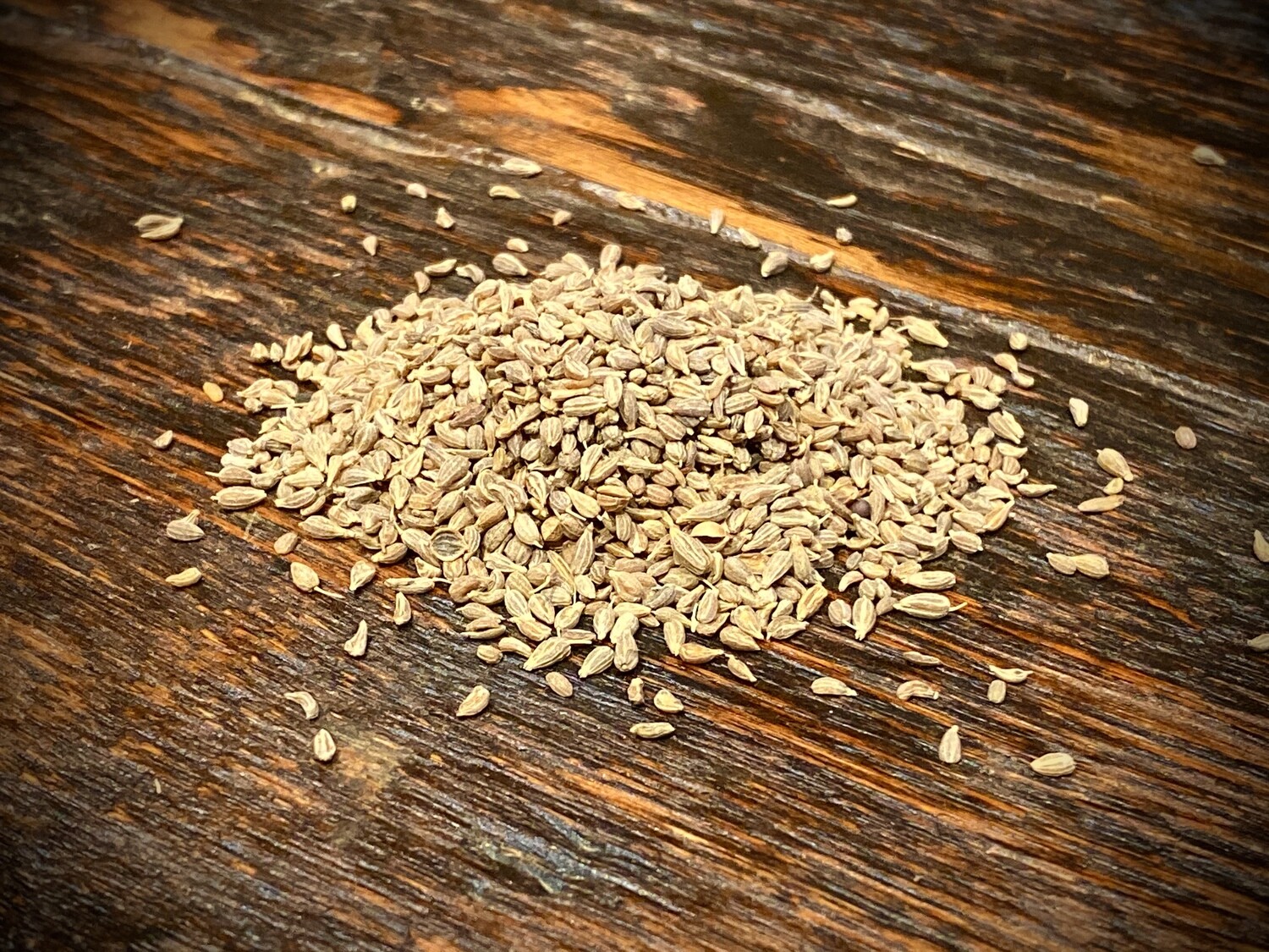 Anise Seed