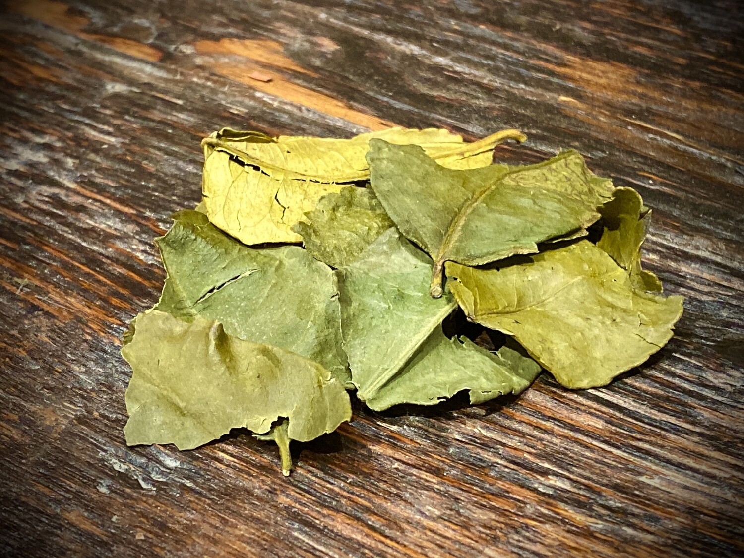 Kaffir Lime Leaf