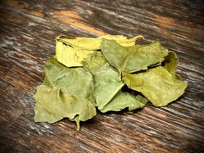 Kaffir Lime Leaf