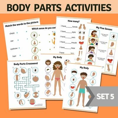 Body Parts Activities Bundle Set 5 Body Parts Activities Bundle Set 5