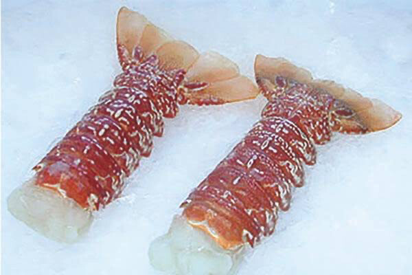 Lobster Tails