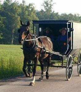November 9-11 2021 
Lancaster, PA 
Amish Experience