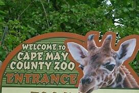 A Day in Cape May including the ZOO!
Washington Street Shopping, Trolley Tour and Zoo