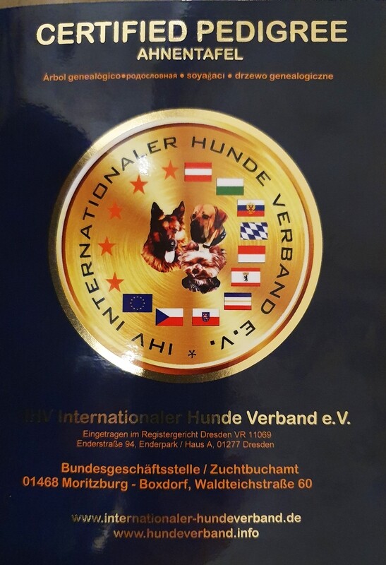 Ahnentafel des IHV - nur über die Bundesgeschäftsstelle bestellbar
