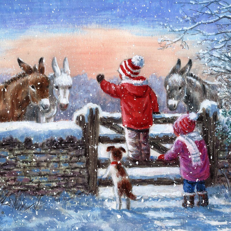Donkey Greetings