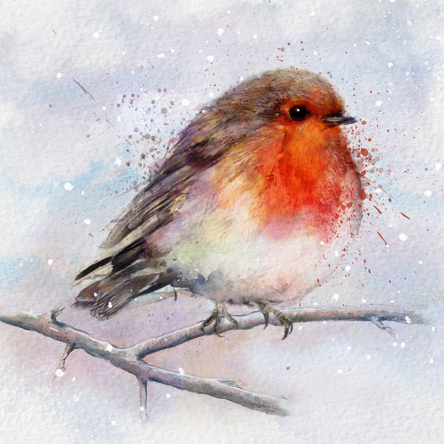 Cute Robin