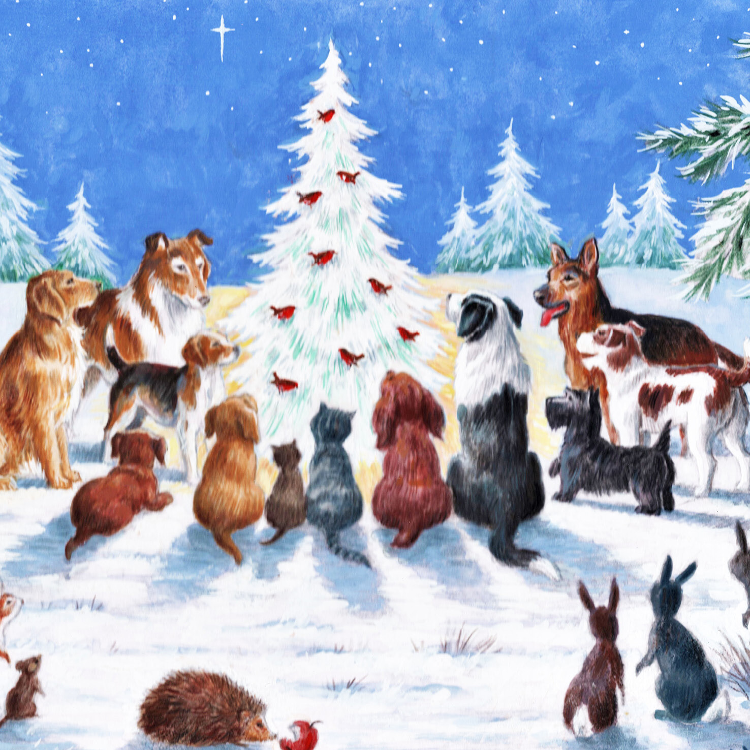 Doggie Christmas