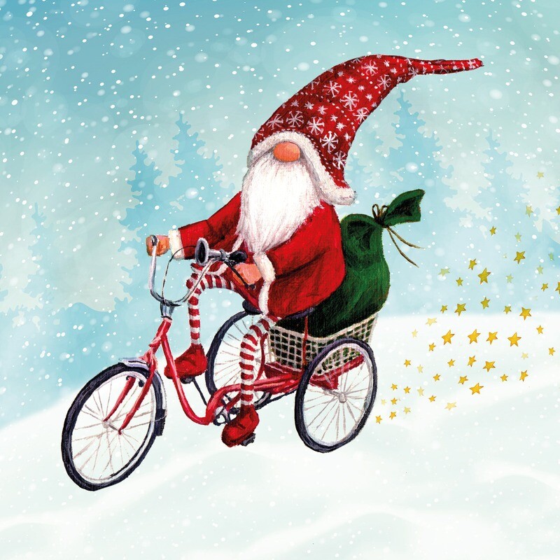 Cycling Gnome Santa