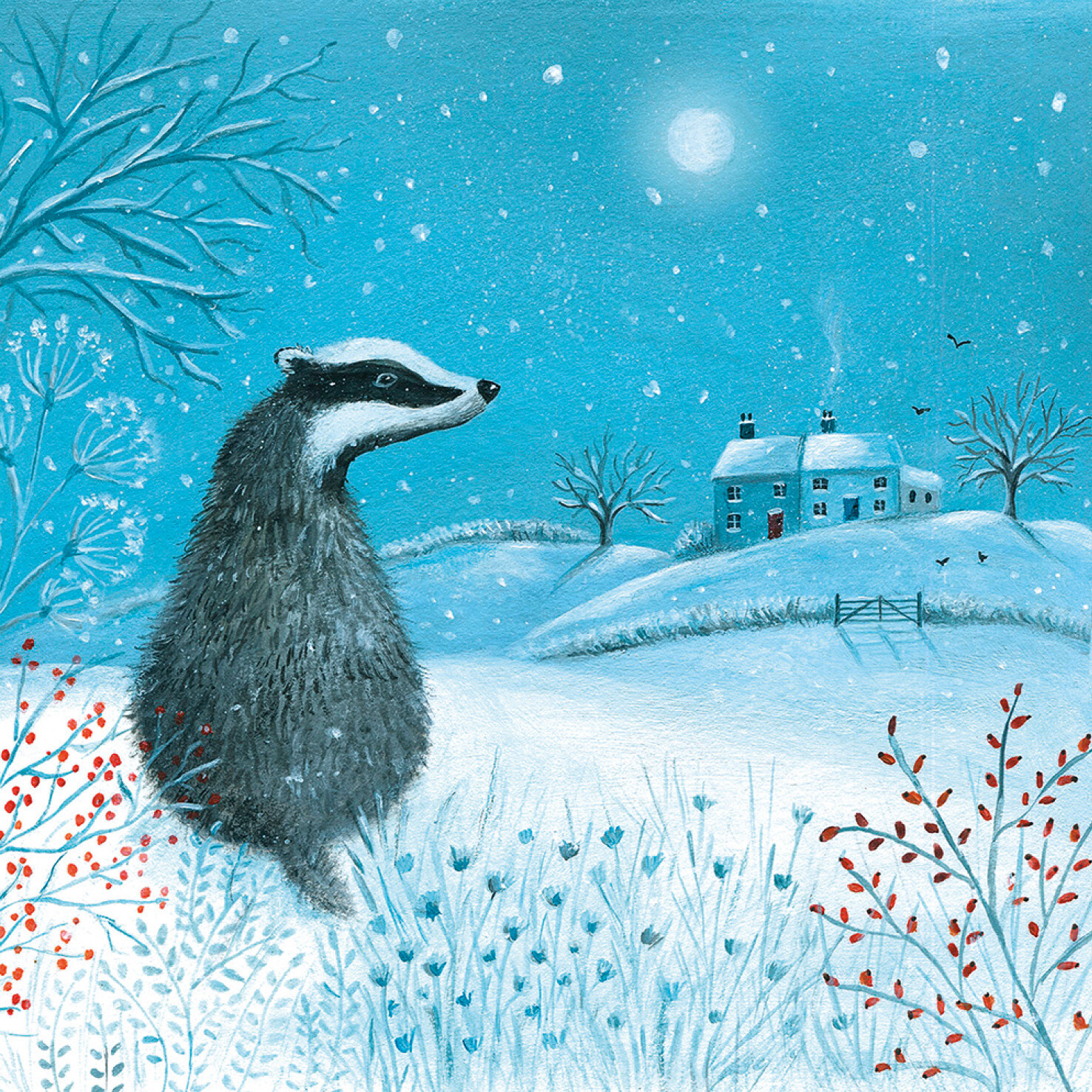 Badger in the Snow