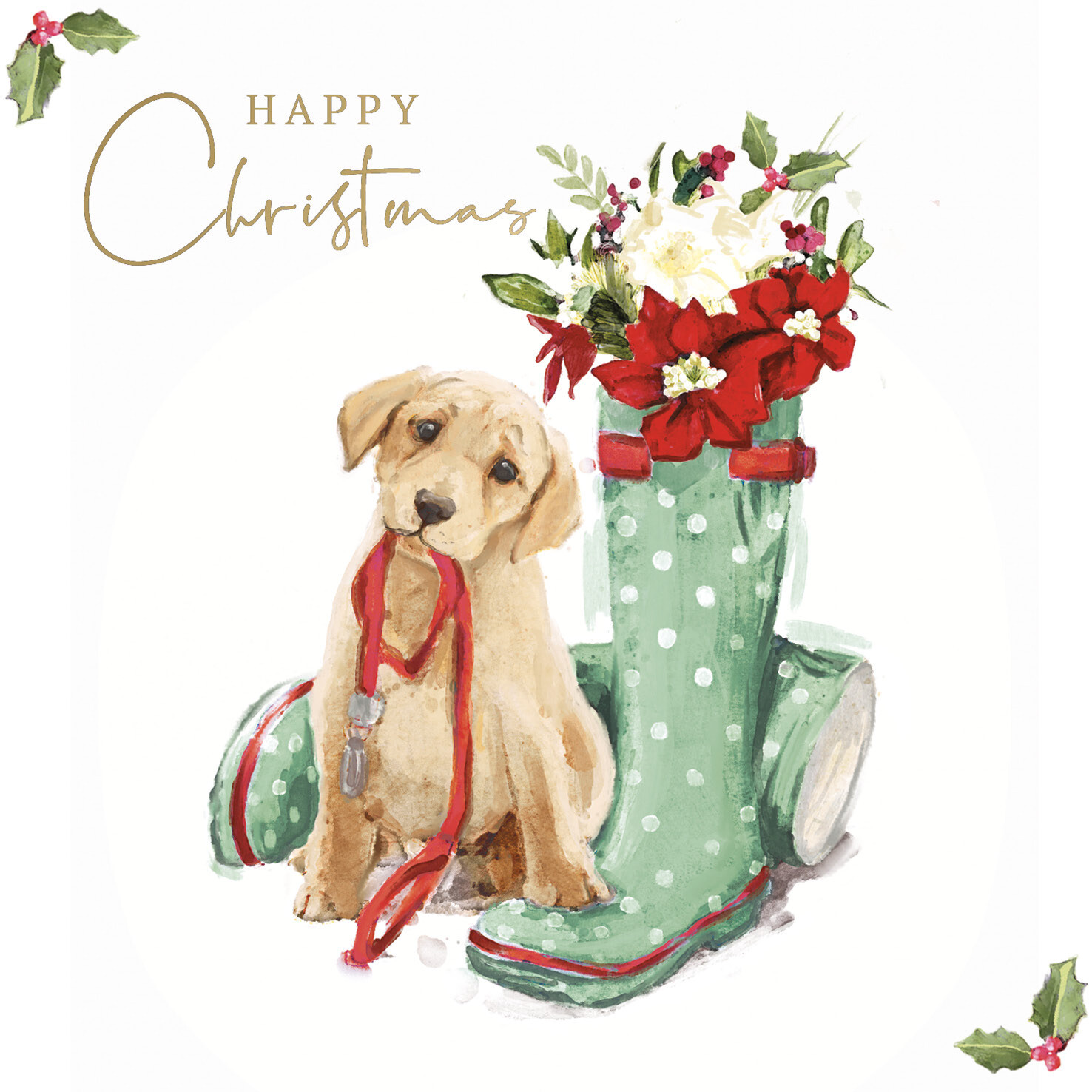 Christmas Walk Please