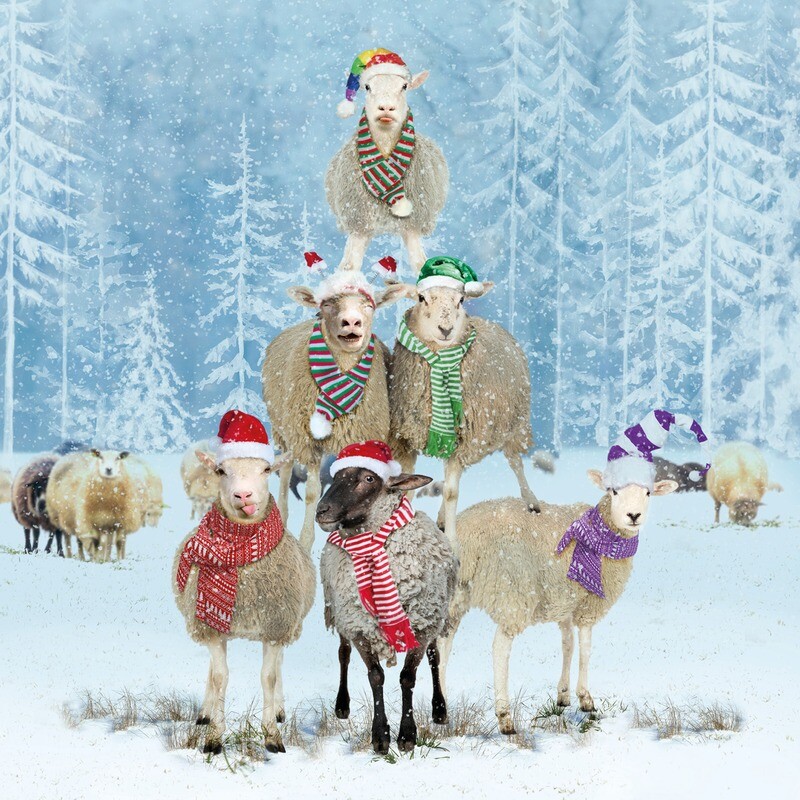 Bah Christmas