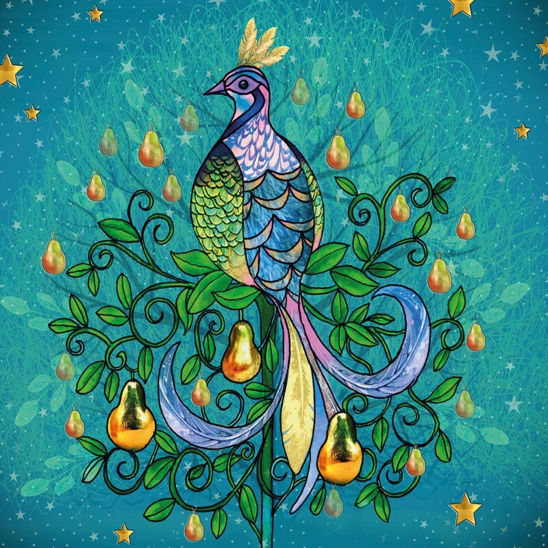 Aqua Partridge