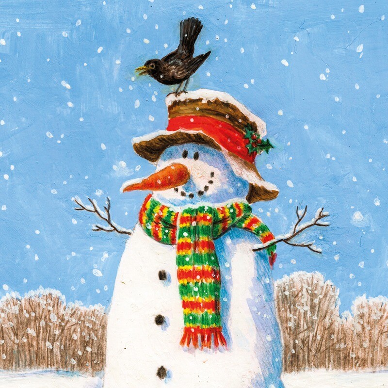 Snowman&#39;s Visitor