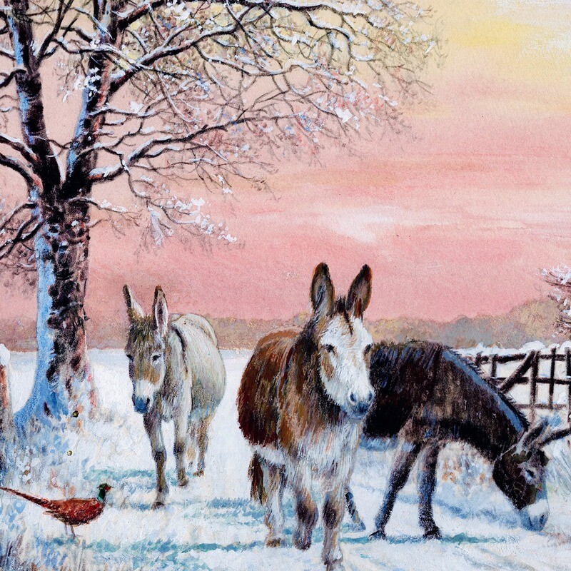 Sunset Donkeys