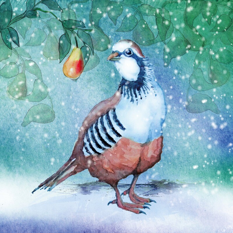 Partridge and Pear