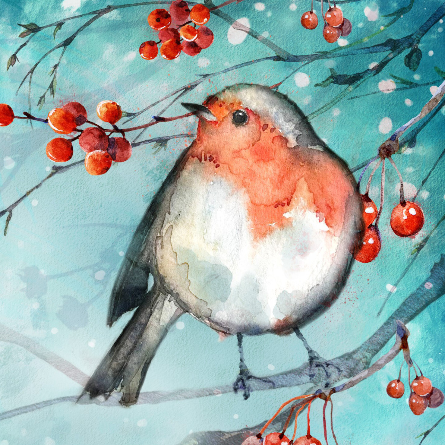 Watercolour Robin