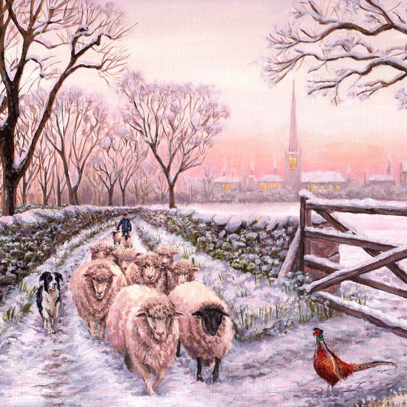 Watching the Flock