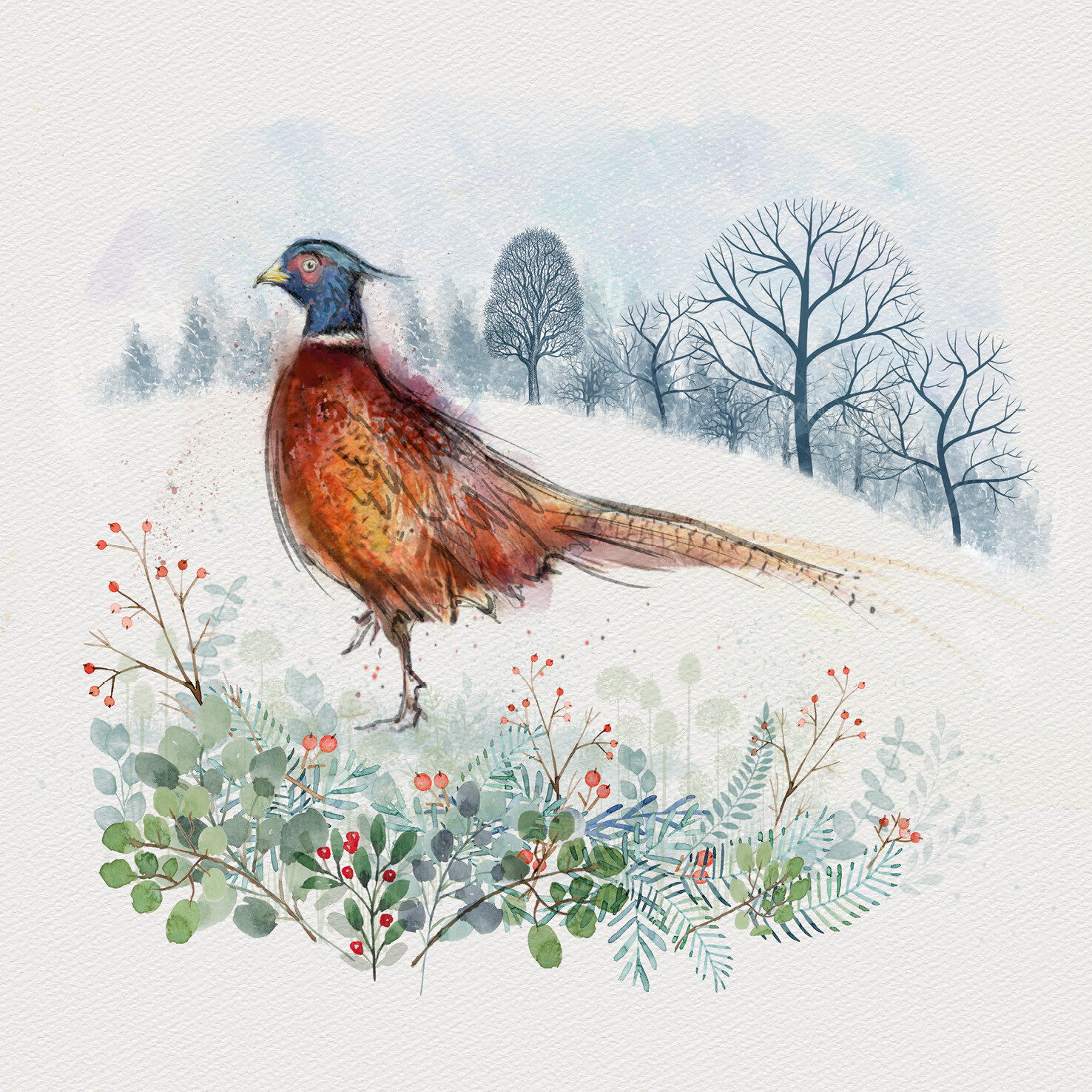 Watercolour Pheasant