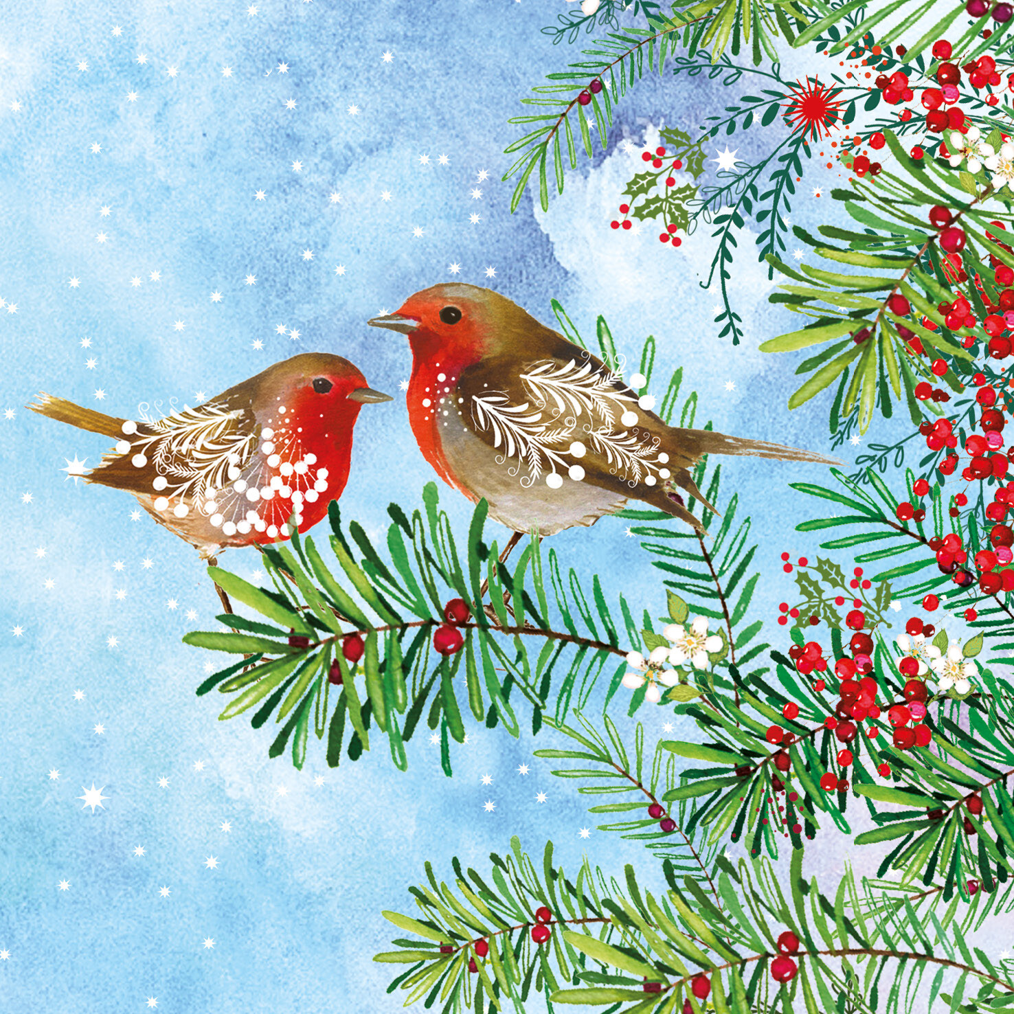 Robins Meeting