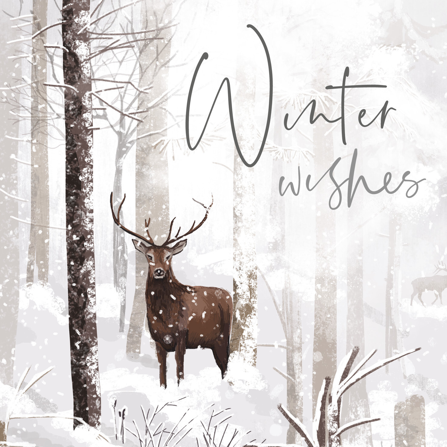 Highland Stag