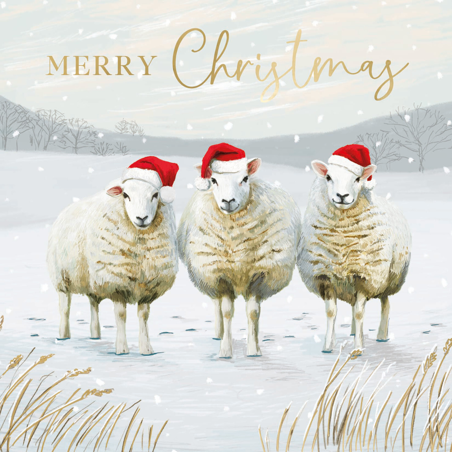Three Sheep